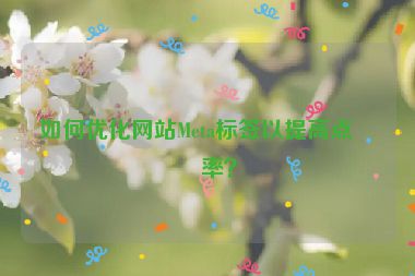 如何優(yōu)化網(wǎng)站Meta標(biāo)簽以提高點(diǎn)擊率？
