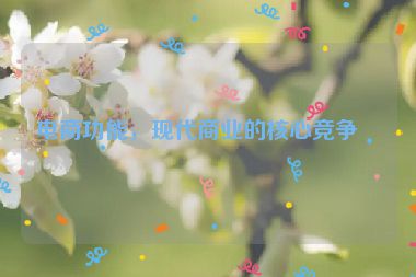 電商功能，現(xiàn)代商業(yè)的核心競爭力