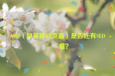 AMP（加速移動頁面）是否還有SEO價(jià)值？