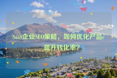SaaS企業(yè)SEO策略，如何優(yōu)化產品頁提升轉化率？