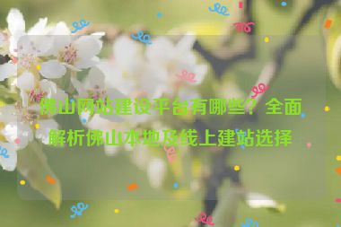 佛山網(wǎng)站建設(shè)平臺有哪些？全面解析佛山本地及線上建站選擇