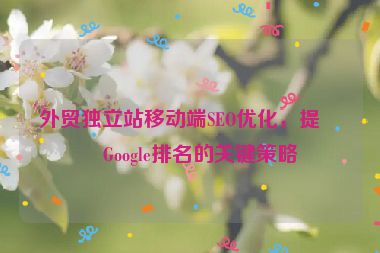 外貿(mào)獨立站移動端SEO優(yōu)化，提升Google排名的關(guān)鍵策略