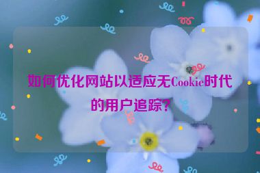 如何優(yōu)化網(wǎng)站以適應(yīng)無Cookie時(shí)代的用戶追蹤？