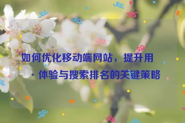 如何優(yōu)化移動(dòng)端網(wǎng)站，提升用戶(hù)體驗(yàn)與搜索排名的關(guān)鍵策略