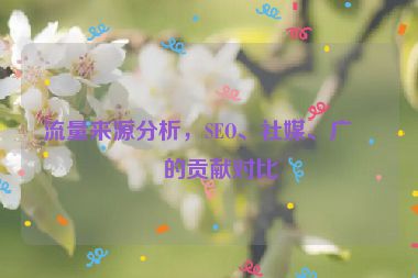 流量來(lái)源分析，SEO、社媒、廣告的貢獻(xiàn)對(duì)比