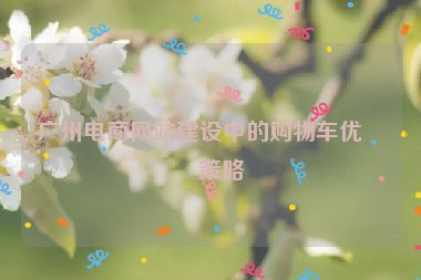 廣州電商網(wǎng)站建設(shè)中的購(gòu)物車(chē)優(yōu)化策略