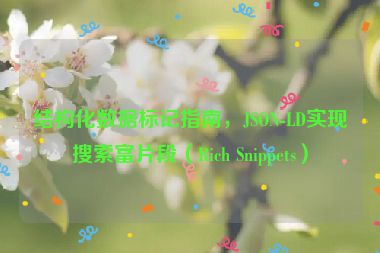 結(jié)構(gòu)化數(shù)據(jù)標(biāo)記指南，JSON-LD實現(xiàn)搜索富片段（Rich Snippets）