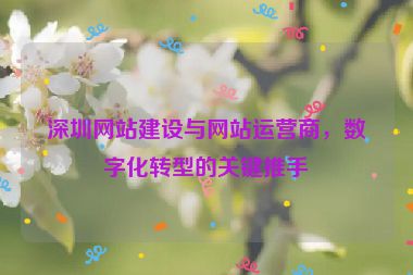 深圳網(wǎng)站建設(shè)與網(wǎng)站運(yùn)營(yíng)商，數(shù)字化轉(zhuǎn)型的關(guān)鍵推手