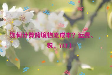 如何計算跨境物流成本？運費、關(guān)稅、VAT）