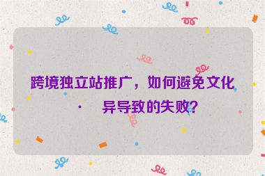 跨境獨立站推廣，如何避免文化差異導致的失敗？