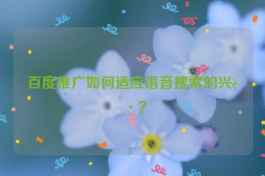 百度推廣如何適應(yīng)語(yǔ)音搜索的興起？