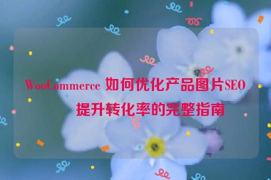 WooCommerce 如何優(yōu)化產(chǎn)品圖片SEO？提升轉(zhuǎn)化率的完整指南