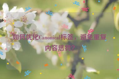 如何優(yōu)化Canonical標(biāo)簽，避免重復(fù)內(nèi)容懲罰？