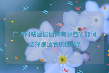 廣州網(wǎng)站建設(shè)團隊有哪些？如何選擇最適合的團隊？