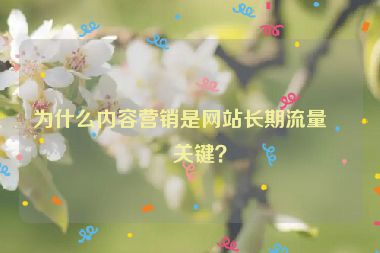 為什么內容營銷是網站長期流量的關鍵？