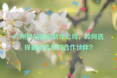 廣州網(wǎng)站建設(shè)制作公司，如何選擇最適合您的合作伙伴？