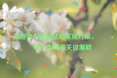 多語言電商網站的實現(xiàn)方案，全球化市場的關鍵策略