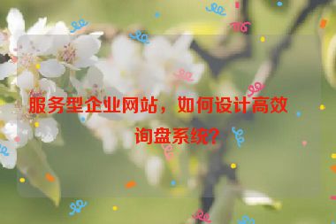 服務(wù)型企業(yè)網(wǎng)站，如何設(shè)計高效的詢盤系統(tǒng)？