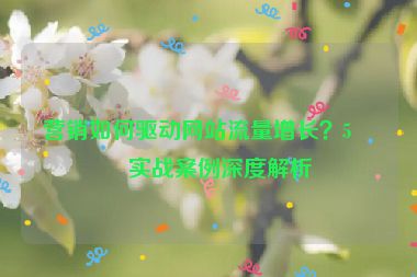 營銷如何驅(qū)動網(wǎng)站流量增長？5個實戰(zhàn)案例深度解析
