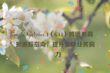 Google Analytics 4（GA4）跨境電商數(shù)據(jù)追蹤指南，提升全球業(yè)務(wù)洞察力