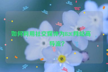 如何利用社交媒體為B2C網(wǎng)站高效導(dǎo)流？