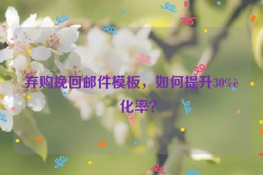 棄購(gòu)?fù)旎剜]件模板，如何提升30%轉(zhuǎn)化率？