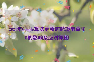 2024年Google算法更新對跨境電商SEO的影響及應對策略