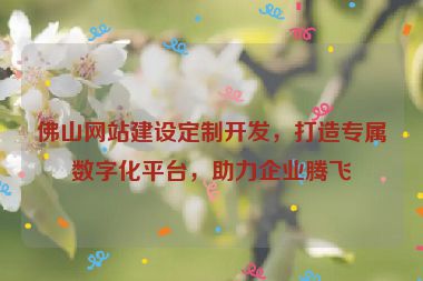 佛山網(wǎng)站建設(shè)定制開發(fā)，打造專屬數(shù)字化平臺(tái)，助力企業(yè)騰飛