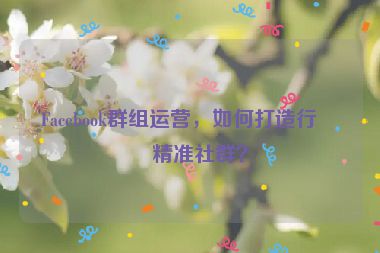 Facebook群組運營，如何打造行業(yè)精準社群？