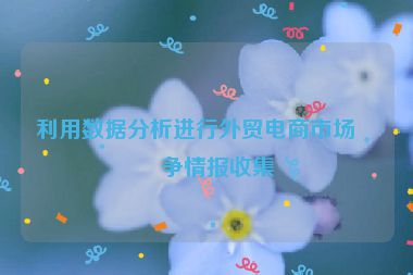 利用數(shù)據(jù)分析進行外貿(mào)電商市場競爭情報收集