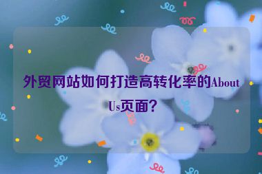 外貿(mào)網(wǎng)站如何打造高轉(zhuǎn)化率的About Us頁面？