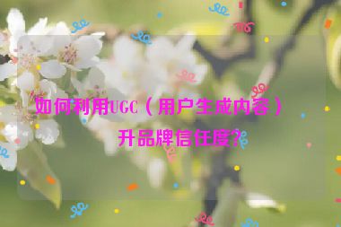 如何利用UGC（用戶生成內(nèi)容）提升品牌信任度？