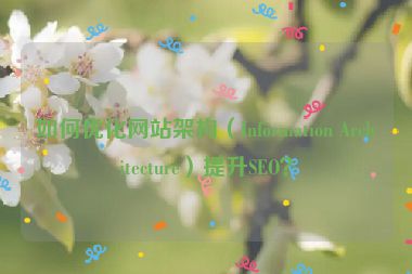 如何優(yōu)化網(wǎng)站架構(gòu)（Information Architecture）提升SEO？