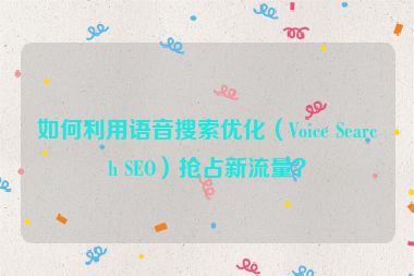 如何利用語音搜索優(yōu)化（Voice Search SEO）搶占新流量？