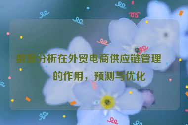 數(shù)據(jù)分析在外貿(mào)電商供應(yīng)鏈管理中的作用，預(yù)測與優(yōu)化
