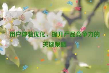 用戶體驗(yàn)優(yōu)化，提升產(chǎn)品競(jìng)爭(zhēng)力的關(guān)鍵策略