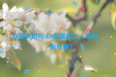 百度競(jìng)價(jià)與SEO流量對(duì)比，如何平衡投放？