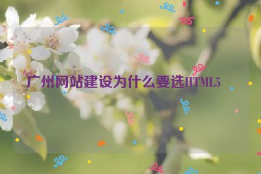 廣州網(wǎng)站建設(shè)為什么要選HTML5？