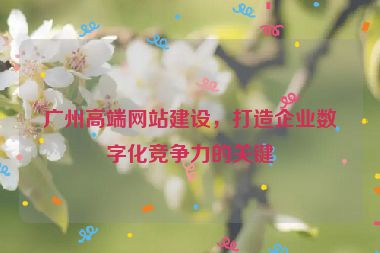 廣州高端網(wǎng)站建設(shè)，打造企業(yè)數(shù)字化競(jìng)爭(zhēng)力的關(guān)鍵