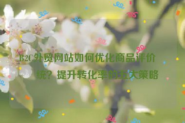 B2C外貿(mào)網(wǎng)站如何優(yōu)化商品評(píng)價(jià)系統(tǒng)？提升轉(zhuǎn)化率的五大策略