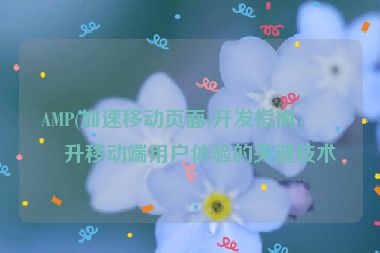 AMP(加速移動(dòng)頁(yè)面)開發(fā)指南，提升移動(dòng)端用戶體驗(yàn)的關(guān)鍵技術(shù)