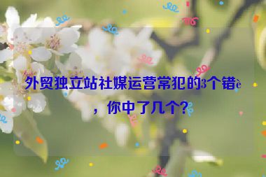 外貿(mào)獨(dú)立站社媒運(yùn)營常犯的3個(gè)錯(cuò)誤，你中了幾個(gè)？