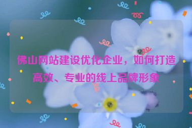 佛山網(wǎng)站建設(shè)優(yōu)化企業(yè)，如何打造高效、專業(yè)的線上品牌形象