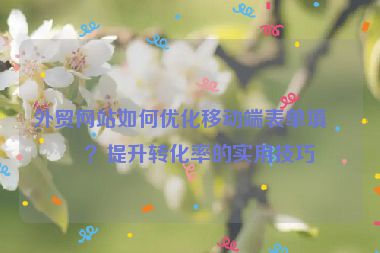 外貿(mào)網(wǎng)站如何優(yōu)化移動端表單填寫？提升轉(zhuǎn)化率的實(shí)用技巧