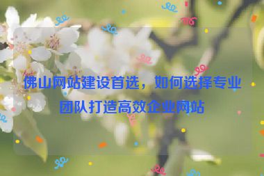 佛山網站建設首選，如何選擇專業(yè)團隊打造高效企業(yè)網站
