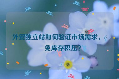 外貿(mào)獨(dú)立站如何驗(yàn)證市場(chǎng)需求，避免庫存積壓？
