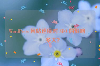 WordPress 網(wǎng)站速度對(duì) SEO 的影響有多大？