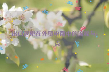 出口退稅在外貿(mào)電商中的流程與要點(diǎn)