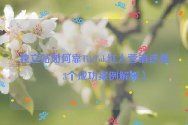 獨立站如何靠TikTok紅人營銷逆襲？3個成功案例解析）
