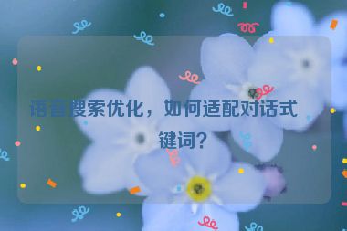 語音搜索優(yōu)化，如何適配對(duì)話式關(guān)鍵詞？